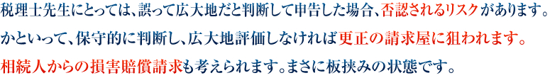 税理士先生にとっては、誤って広大地だと判断して申告した場合、否認されるリスクがあります。かといって、保守的に判断し、広大地評価しなければ更正の請求屋に狙われます。相続人からの損害賠償請求も考えられます。まさに板挟みの状態です。